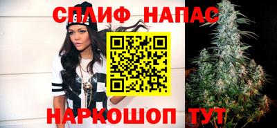 гидра Беслан