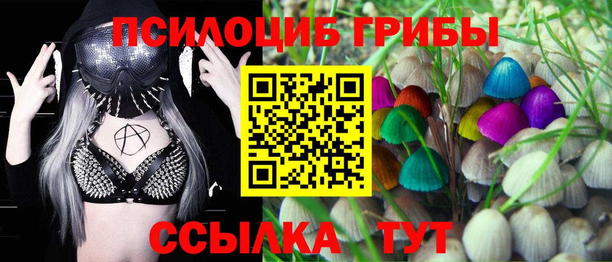 Псилоцибиновые грибы Psilocybe Златоуст