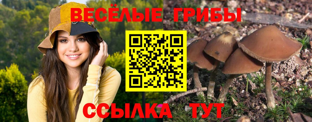 Галлюциногенные грибы MAGIC MUSHROOMS  Вход с VPN  Златоуст 